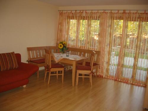 Sonnenblume Sonnenblume