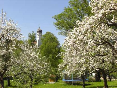 Obstgarten