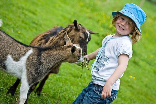 kind_ziegen