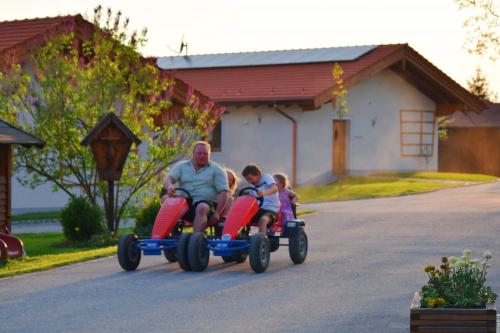 Gokart - Vergnügen für Groß und Klein