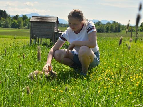 Streicheleinheit für die Häschen Streicheleinheit für die Häschen