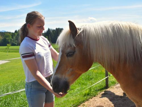 Pferdeliebe Pferdeliebe