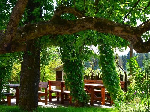 Grillplatz Grillplatz