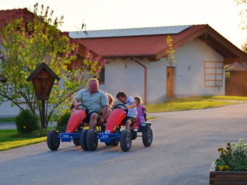 Gokart - Vergnügen für Groß und Klein Gokart - Vergnügen für Groß und Klein