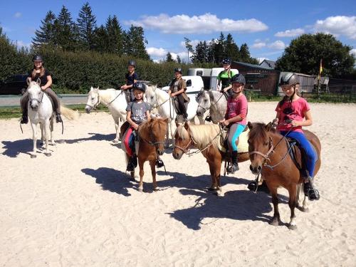 Pony reiten