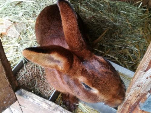 IMG_20170429_150442 IMG_20170429_150442