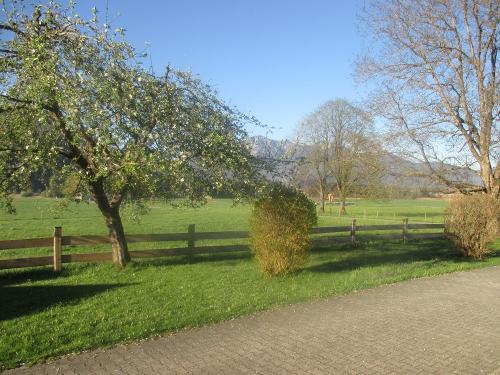 Frühlingserwachen