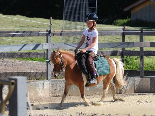 ponyluccahochgallingerhof