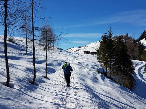 winterwandern