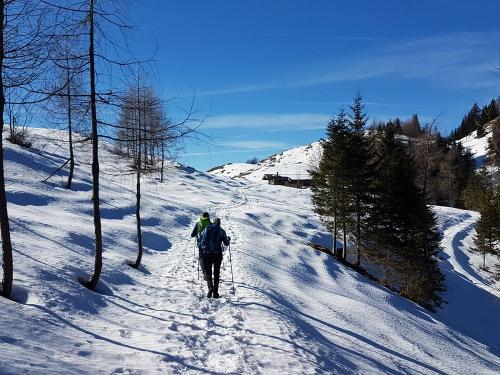 winterwandern winterwandern