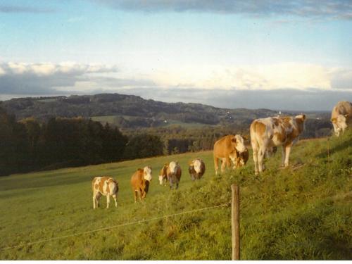 klberaufderweide