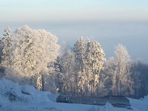 winterlandschaft