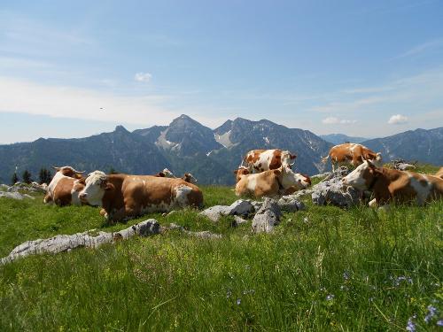 Hier kann man es aushalten!