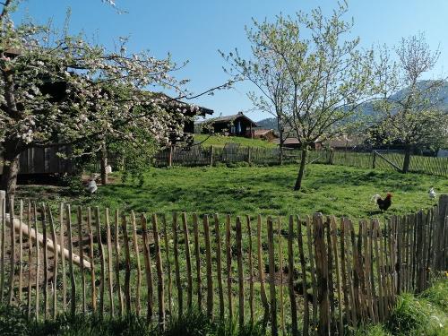Das Hühnerreich im Frühling