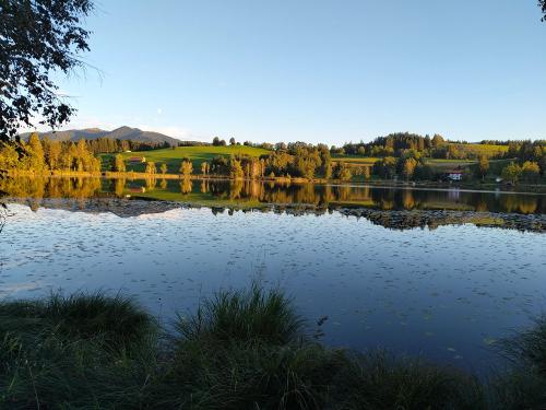 Moorbadesee in der Nähe