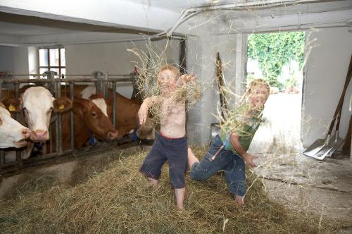 ...die Spitzbuab´m...