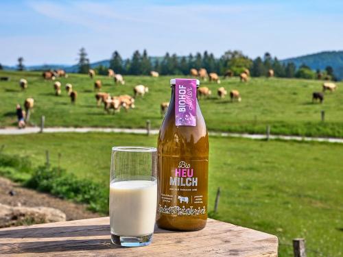 unsere Kühe auf der Weide