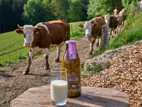 frische Milch
