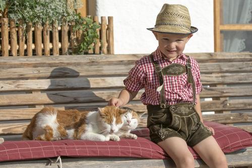 Katzen auf dem Bauernhof