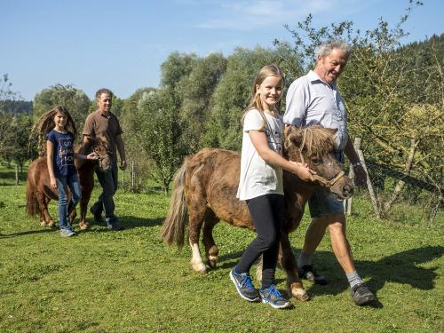 Pony reiten