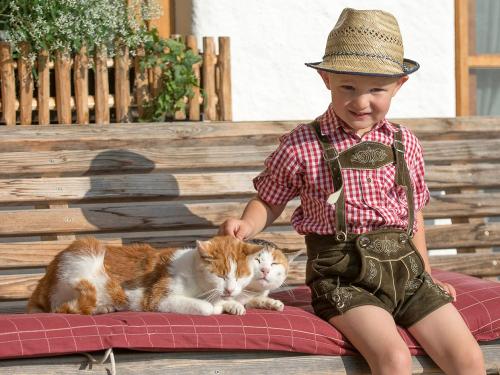 Katzen auf dem Bauernhof