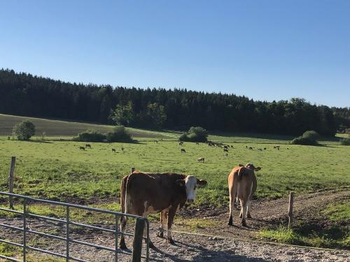 tempImagefSvHzS tempImagefSvHzS