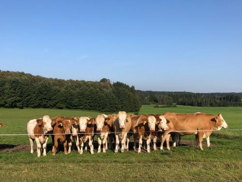 tempImage7q4BCb tempImage7q4BCb