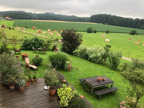 tempImageSm1k5d tempImageSm1k5d