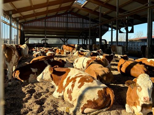 tempImage3tLWZJ tempImage3tLWZJ