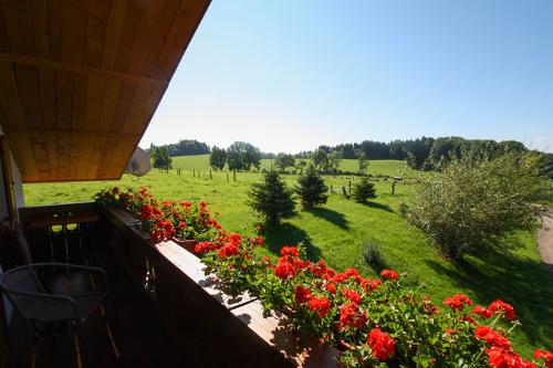 Ausblick aus der Hüterbergwohnung