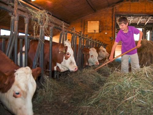 Alle haben Hunger Alle haben Hunger
