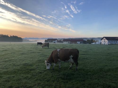 Aussicht