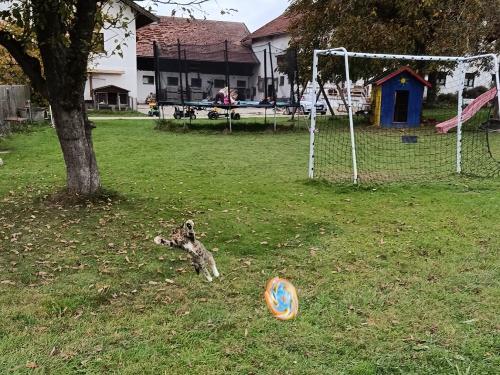 Elli beim spielen Elli beim spielen