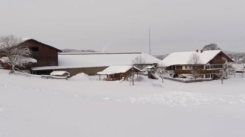 Stücklhof