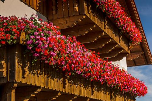 Blumenhafter Balkon