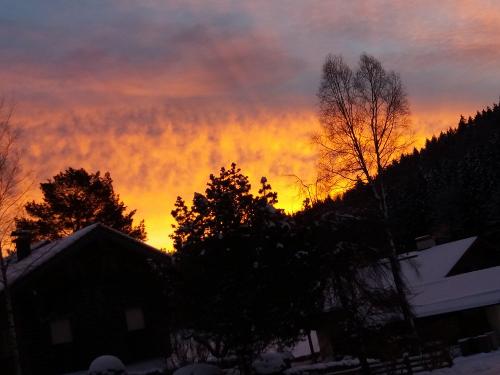 20181219_073841