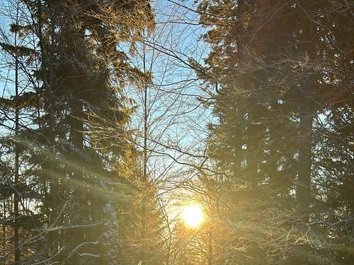 Bilder Christa Handy 062