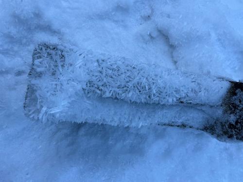 Bilder Christa Handy 051