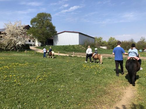 Reiten