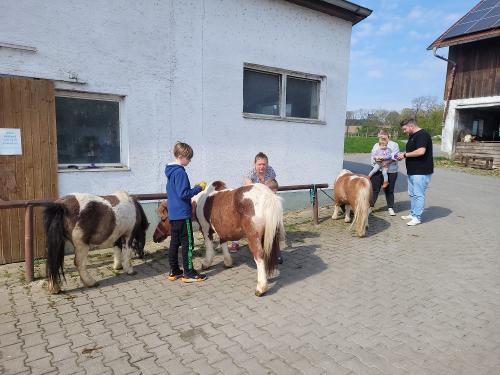 Ponys putzen