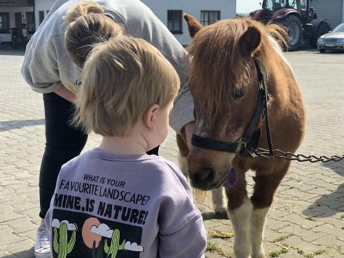 Lieblingspony
