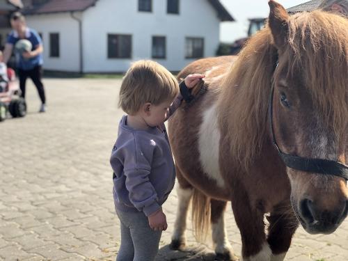 Ponypflege