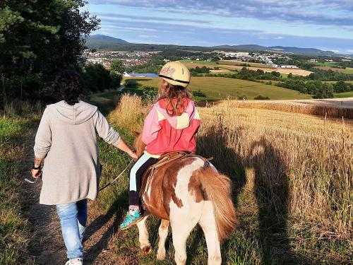 reiten