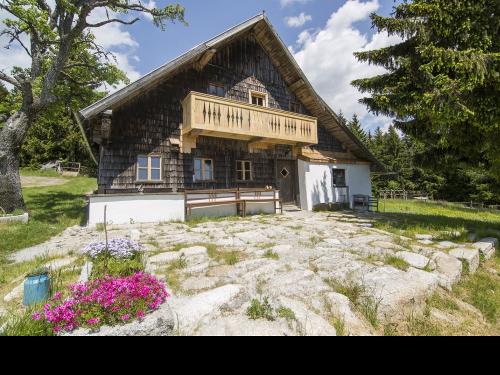 alm_sommer alm_sommer