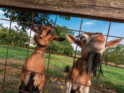 Sailerhof Gramminger