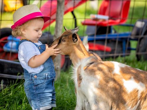 Sailerhof Gramminger