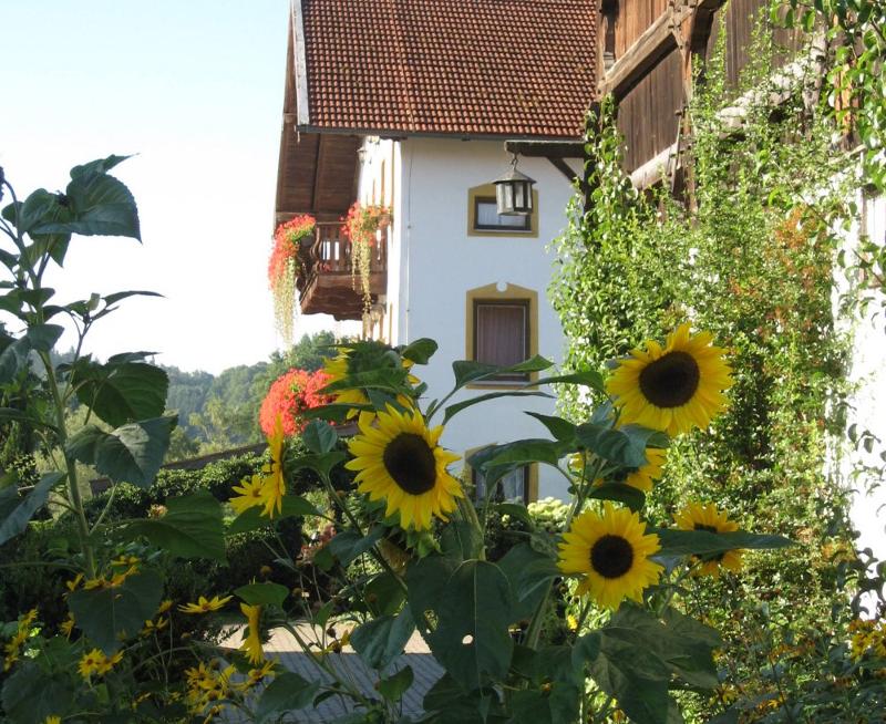 Sonnenblumen vor dem Peterhanslhof