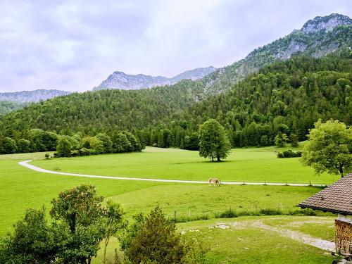 MSB_2025-06_Wiesenhaeusl_FeWoSchlafendeHexe_07_1_ MSB_2025-06_Wiesenhaeusl_FeWoSchlafendeHexe_07_1_