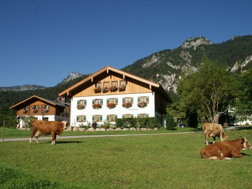 Bognerlehen mit Kühe Bognerlehen mit Kühe