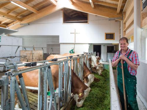 der neue Bio-Laufstall